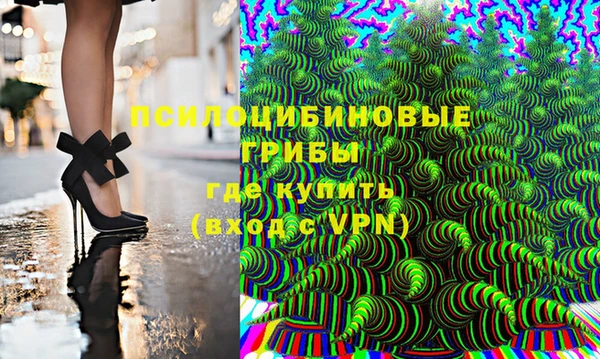 дживик Липки