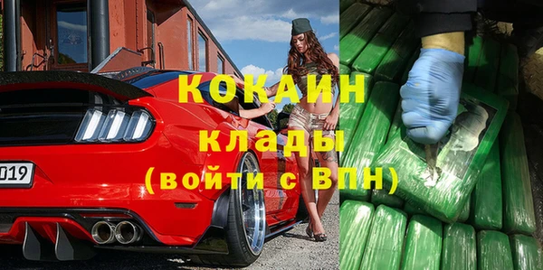 дживик Липки