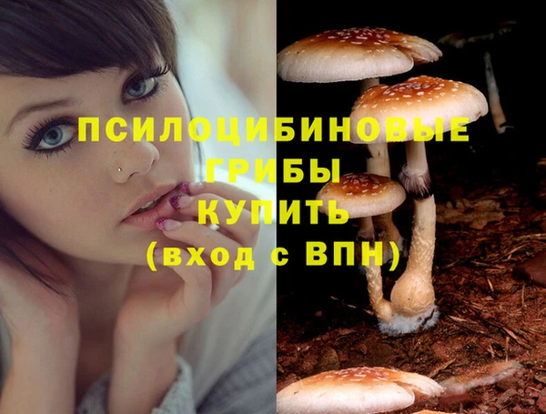 кокаин колумбия Лабытнанги