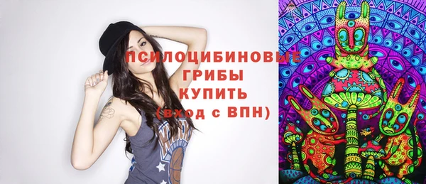 дживик Липки