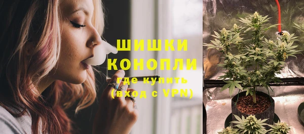 дживик Липки