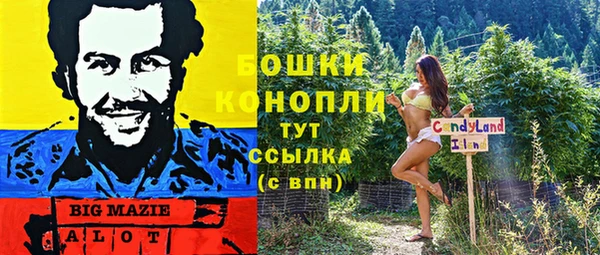 дживик Липки