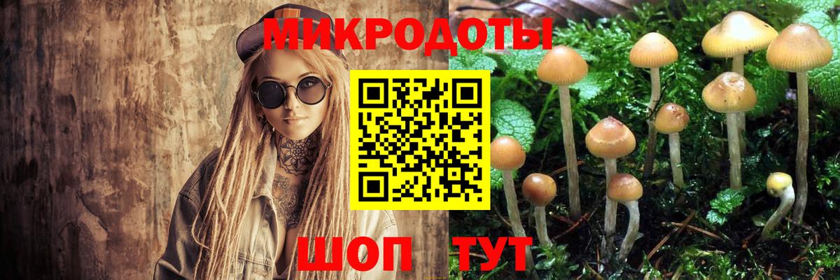 Псилоцибиновые грибы Psilocybine cubensis  Вход с VPN  Галлюциногенные грибы Psilocybe  Можга 